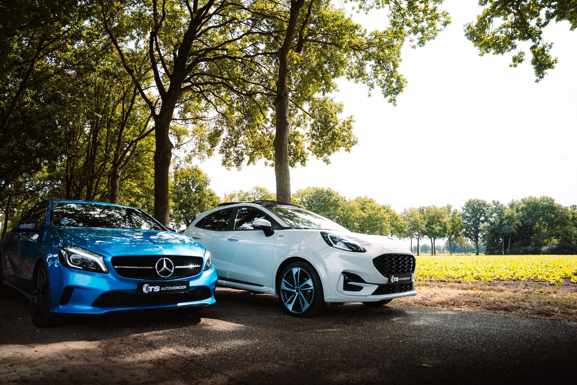 Content 6_content_image_175792943364417458.jpg Garantie | TS Autoverkoop