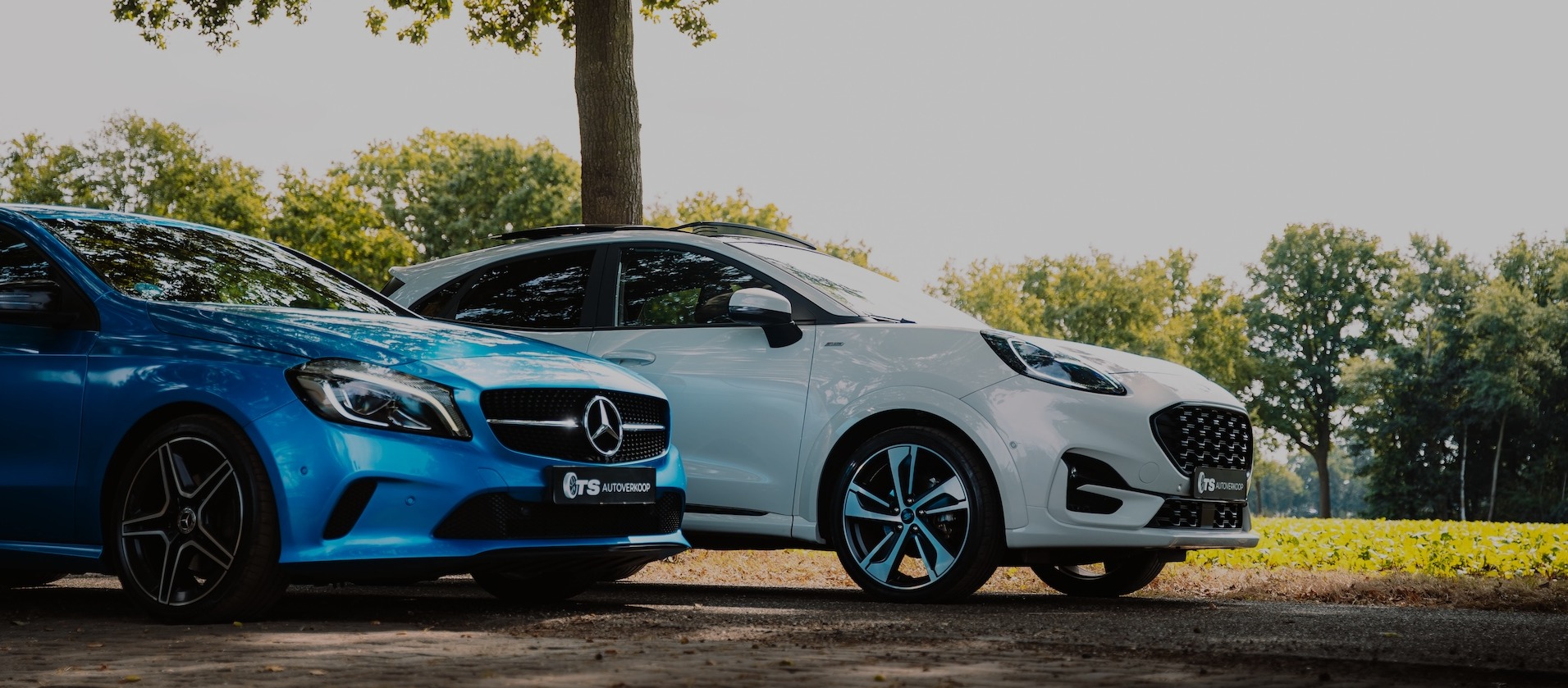 Header header_images_0_1759478069206085767.jpg Overons | TS Autoverkoop