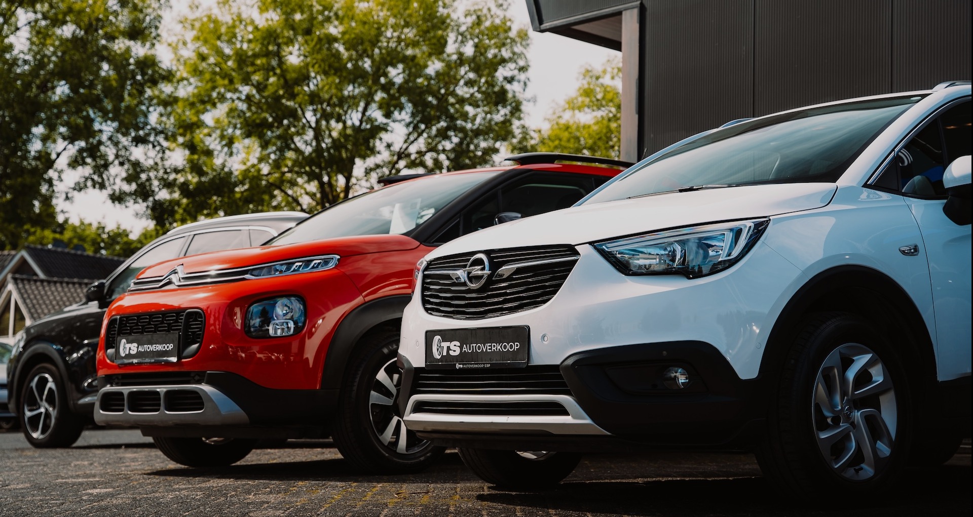 Header header_images_1_1757925871401054590.jpg Home | TS Autoverkoop