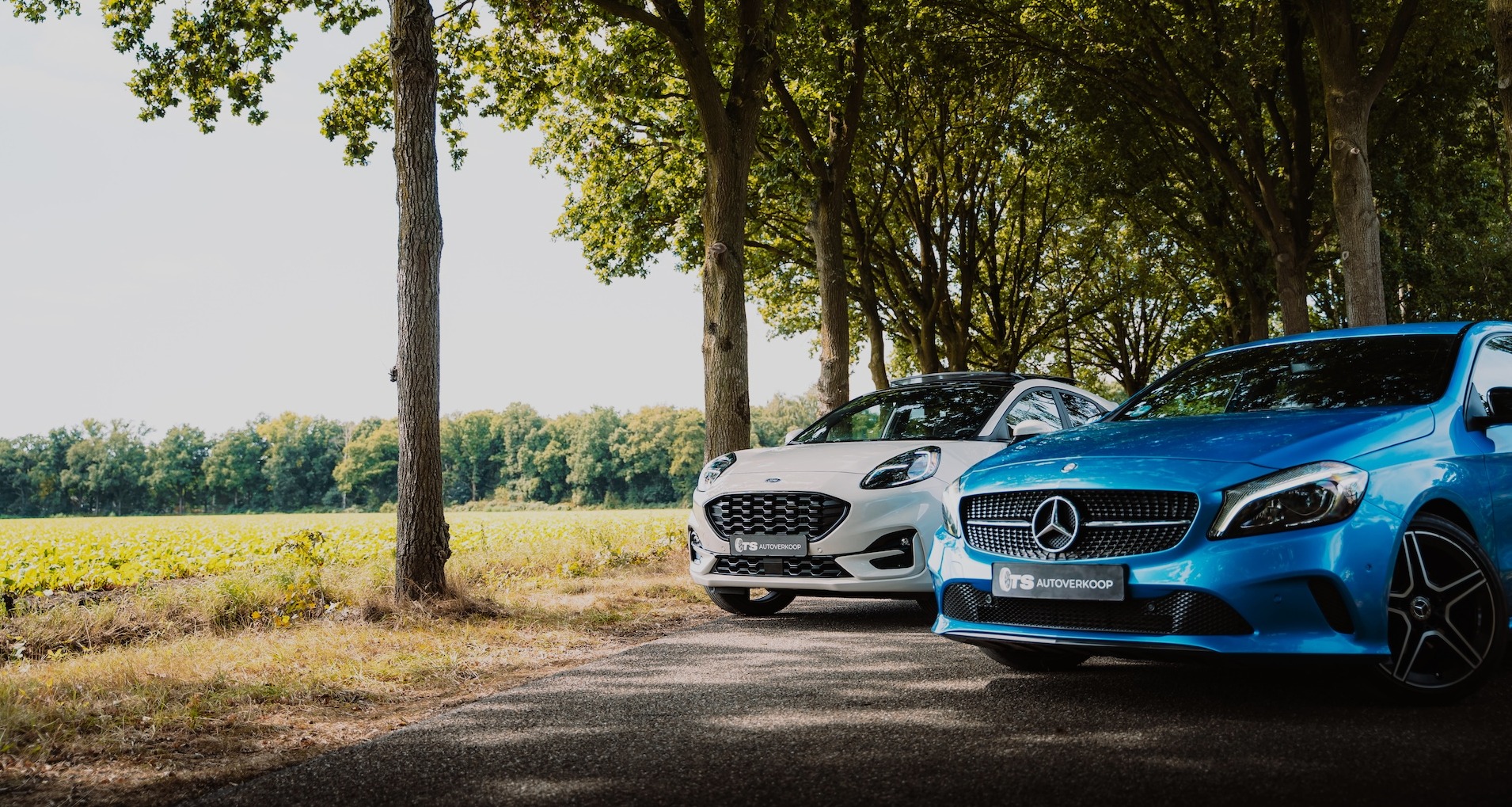 Header header_images_3_17579291571089181181.jpg Home | TS Autoverkoop